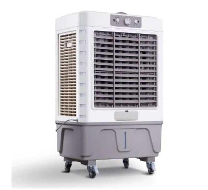 KG50F38